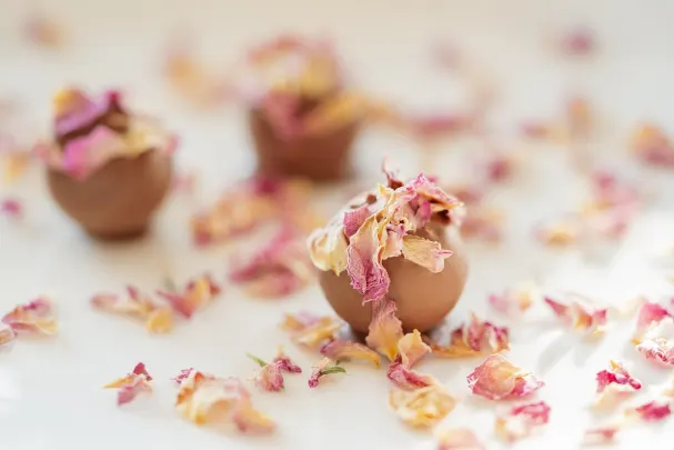 קזינו וגאס ספינס אפליקציית Android/iOS